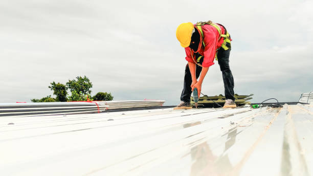 Best Emergency Roof Repair Services  in Swanton, OH