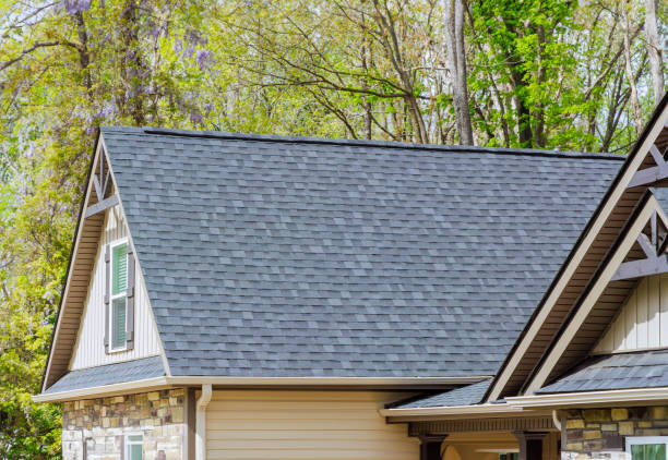 Professional Roofing service in Swanton, OH